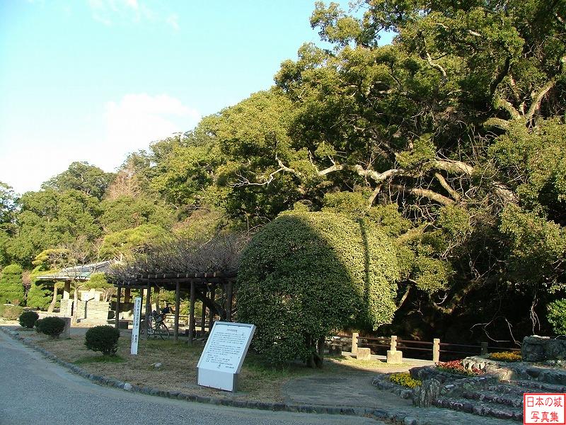 徳島城 弁天池 弁天池脇から見る城山