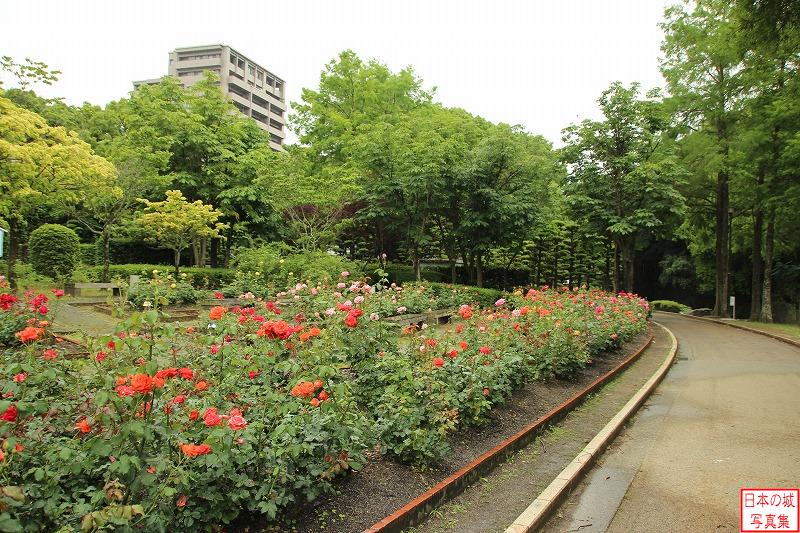 徳島城 城の北側 バラ園。訪問したのは5月でバラが綺麗な季節。