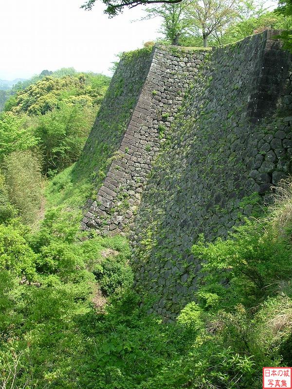 岡城 西中仕切 西中仕切付近から見る三の丸の高石垣
