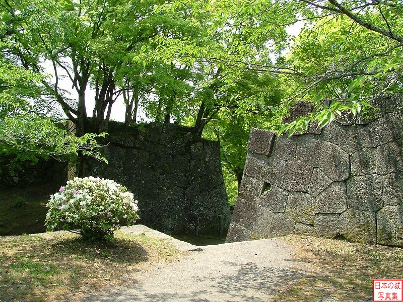 岡城 三の丸 三の丸内から見る太鼓櫓跡