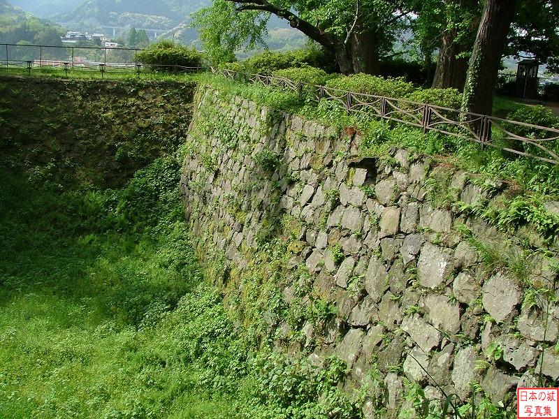 Usuki Castle 