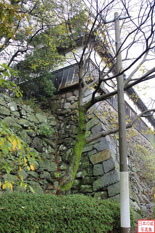 福岡城 北隅櫓 北隅櫓を北側から見上げる