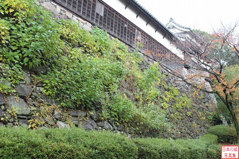 福岡城 西平櫓 西隅櫓（右の重層の櫓、木の枝に隠れている）と接続する西平櫓