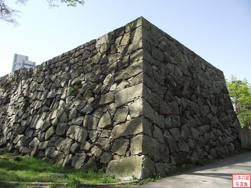 富山城 石垣 向かい側の石垣
