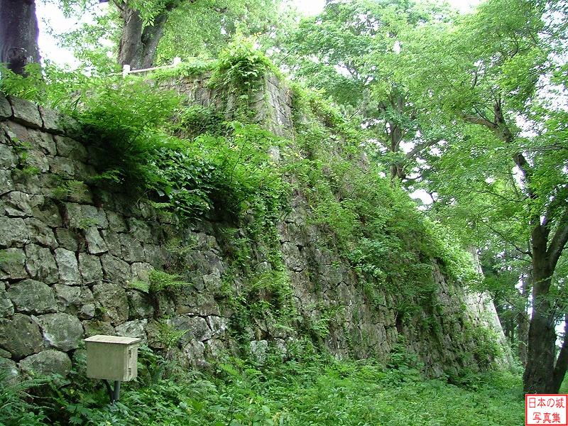 Murakami Castle 