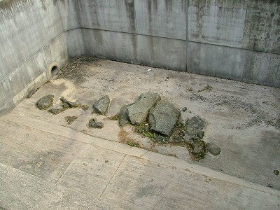 福井城 北ノ庄城堀跡。堀南面の石垣も一部見える