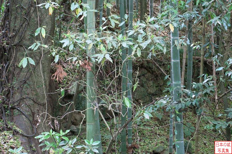 笠間城 本丸裏門 竹が生い茂る間から石垣を見る