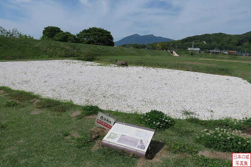 小田城 西池 白く見えるのが西池の跡。当初は南側土塁付近まで広がっていたが、佐竹氏の支配下に入った際の城の改修に伴い規模を縮小されたと思われる。