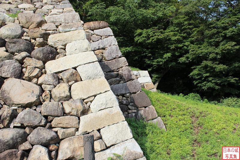 鳥取城 天球丸下の曲輪 天球丸下の曲輪の南端から見る石垣