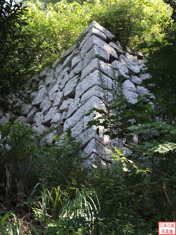 松山城 登り石垣 登り石垣は２つと本丸と、二の丸により、城域が石垣で囲まれる。