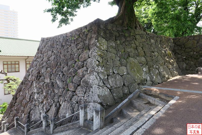 甲府城 坂下門跡 鍛冶曲輪の階段脇の石垣。石が斜めに積み込まれていたり、間詰石が無いなど、他の甲府城石垣とは積み方が違っているようだ。