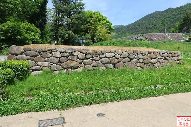 躑躅ヶ崎館 大手石塁 大手石塁を南側から見る。石塁の裏側には大量の栗石が詰められていたが、この技術は西日本由来のものであり、徳川氏か豊臣大名により築かれた可能性が高いと考えられる。