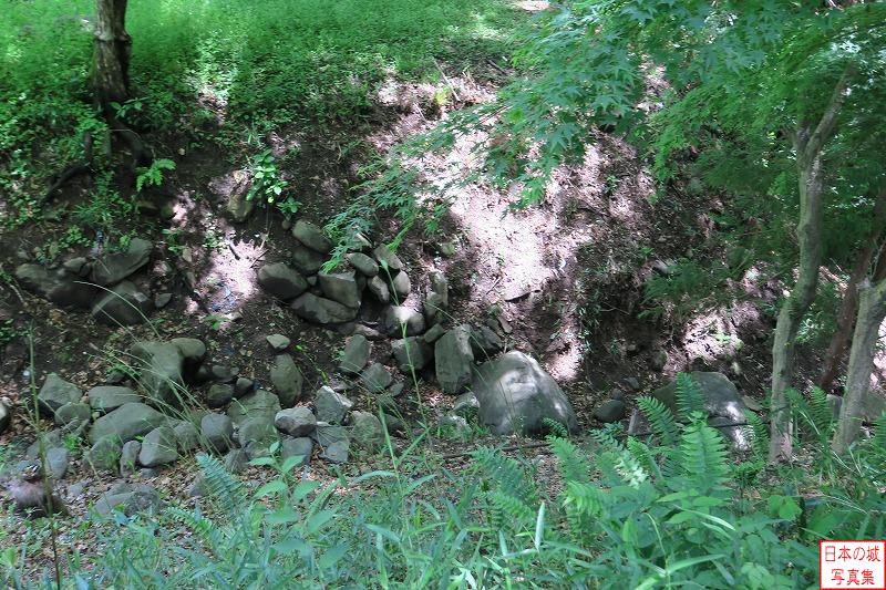 躑躅ヶ崎館 稲荷曲輪 稲荷曲輪から堀を見下ろす。大きな石が転がるが、かつて石垣に用いられていた石だろうか。