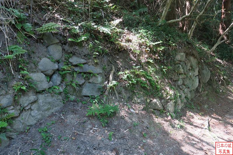 飯盛山城 本郭東側石垣 石垣の先に折れが見られる。これらの石垣は、城に石垣が本格的に用いられた時代以前の希少なものである。