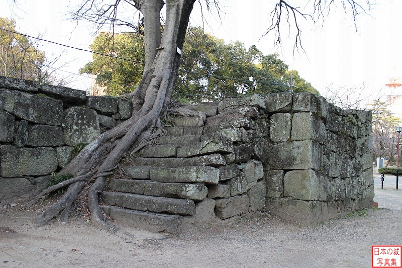 和歌山城 裏坂 台所門跡右手の石垣を内側から