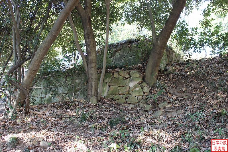 金山城 馬場下曲輪 竪堀を形成する石垣。写真の石垣の向こう側に竪堀がある