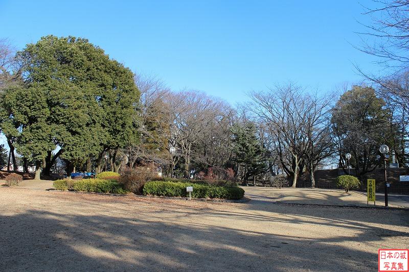 Koizumi Castle 