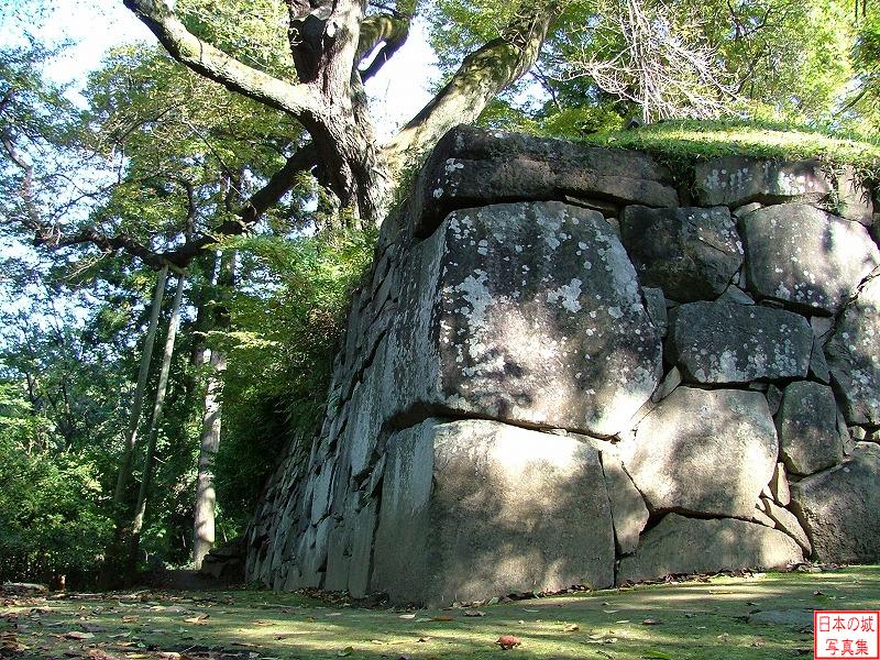 沼田城 本丸西櫓台の石垣 本丸西櫓台の石垣。発掘調査により発見されたこの石垣や石段は、西櫓台に伴うものであり、真田氏時代の遺構と考えられる。