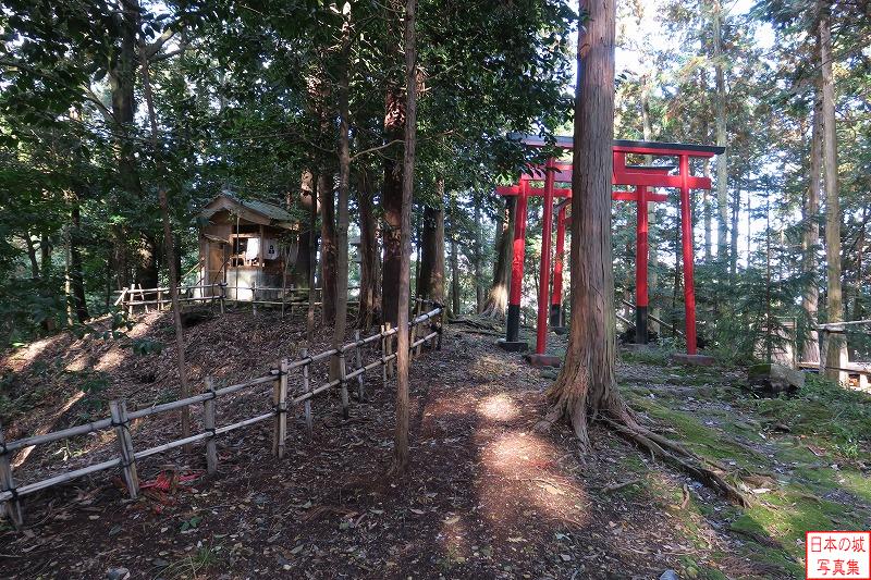 野田城 本丸 本丸隅にある稲荷。赤い鳥居が鮮やか。社が建つ場所は少し高くなっているが、かつて櫓でも建っていたのであろうか。