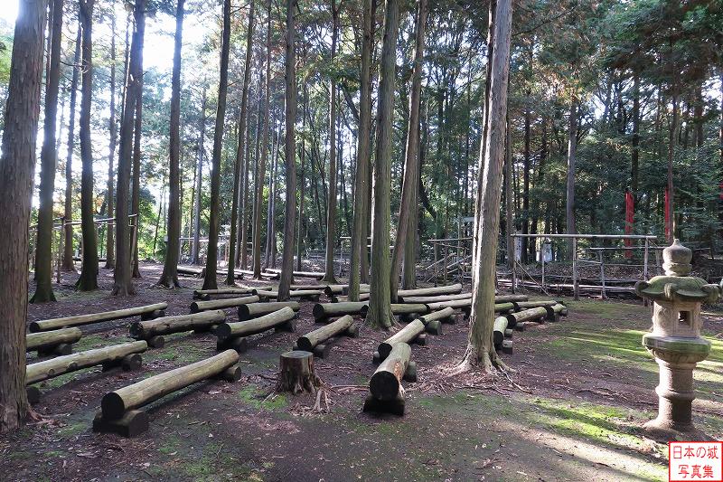 野田城 本丸 本丸のようす。木々が立ち並ぶ中、伐られた木が綺麗に並べられていた。