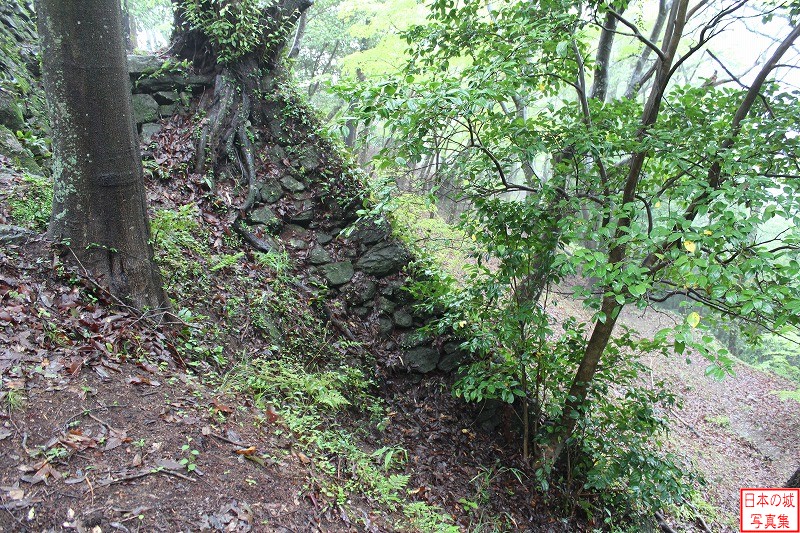 Ogyu Castle Mizunote (Lower)