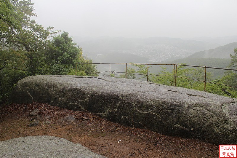 大給城 主郭西側 物見岩。岩の上には穴が開いているが、その目的は不明。ここからの眺めは最高との事だが、当日は生憎の雨で展望は効かない。