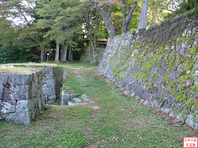 Iwamura Castle 