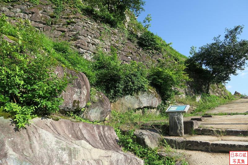 苗木城 綿蔵門跡 綿蔵門跡付近の城壁。平らな石を使った石垣が見える