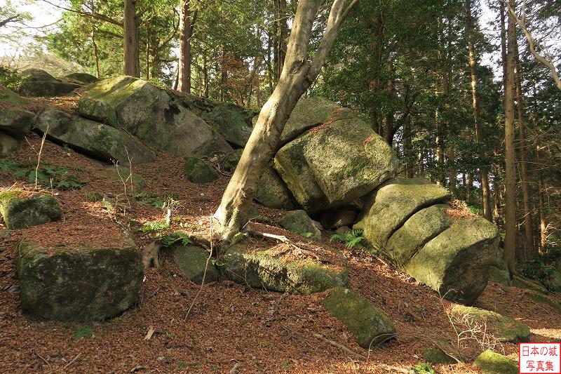 小里城 本丸曲輪 腰曲輪 折り重なる巨石。これは自然のままなのか、それとも人の手で組み上げられたものなのか。
