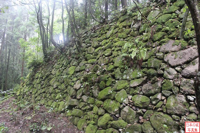 Tsumagi Castle Stone wall (Urayama tanigawa river)