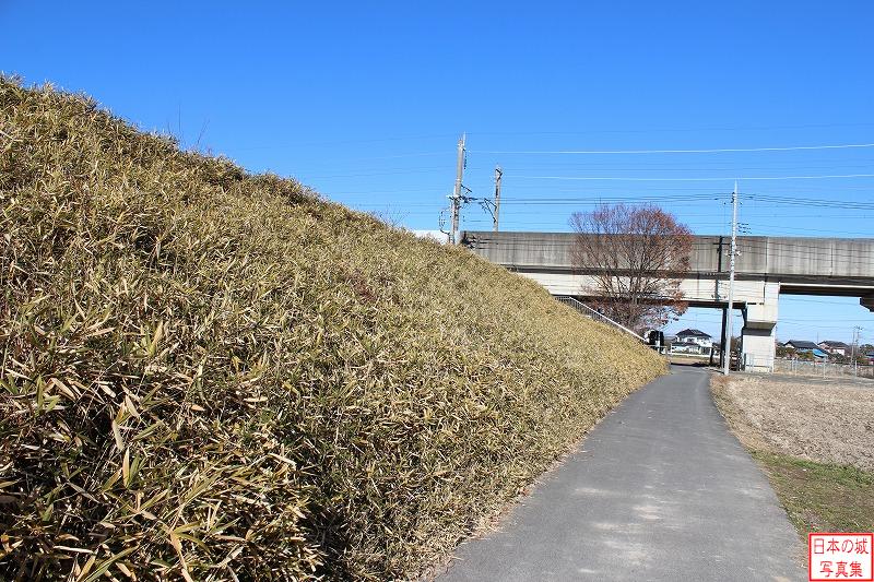 忍城 石田堤 新幹線沿いの地に堤が残る。