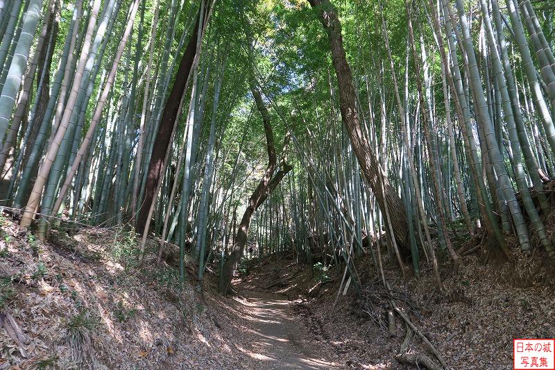 滝山城 城下から天野坂を登る 天野坂を登る。両側には竹が生い茂り、一段低いところを道が通る
