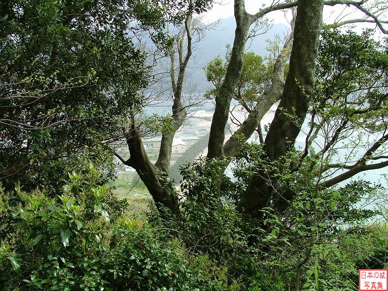 萩城 詰丸(二の丸) 詰丸(二の丸)からの眺め。現在は木々に覆われていて、微かに海岸が見える程度
