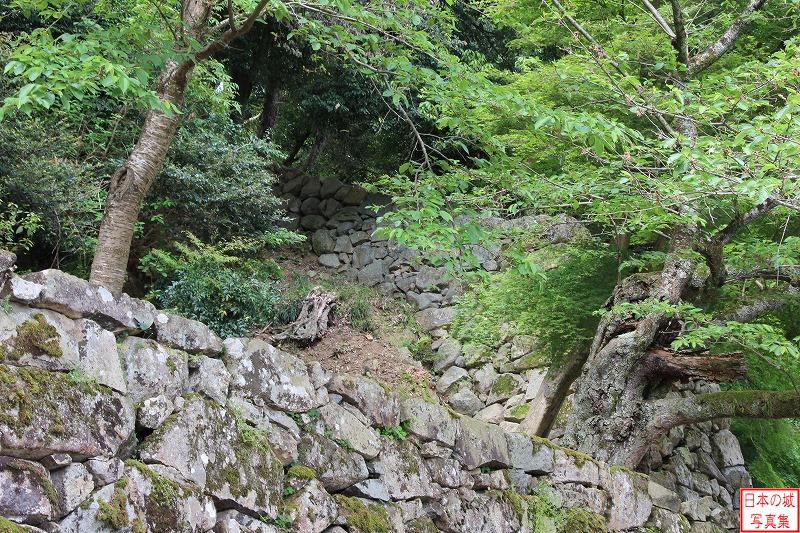 彦根城 登り石垣（表門付近） 近寄って登り石垣を見る。登り石垣が斜面を登っているのが見える。