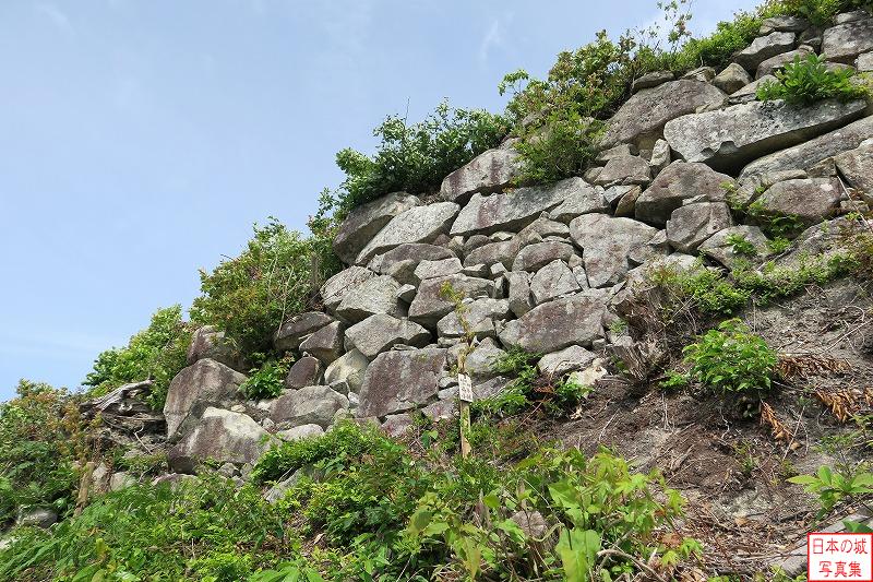 観音寺城 大石垣 大石垣。比較的平たい石が多いか？