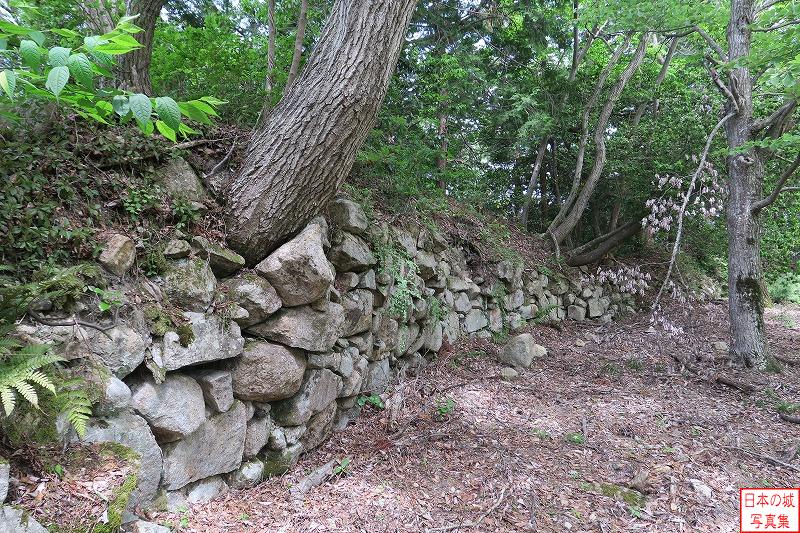 観音寺城 伝池田丸内 伝池田丸の面積は広く、外縁の距離は長いが、石垣造りの壁が続く