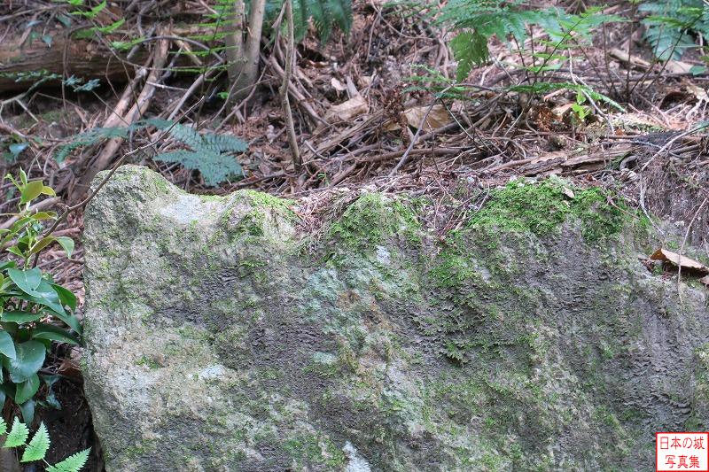 小堤城山城 登城路 石には石を切り出した際の矢穴が残る