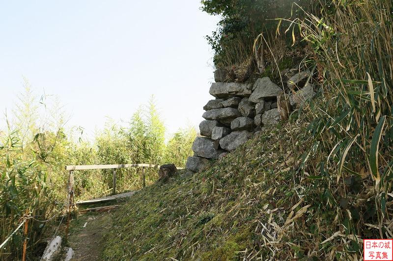 水口岡山城 本丸西側石垣（下段） 道を進むと突然眼前に現れる石垣。粗く石を積み上げた野面積み。
