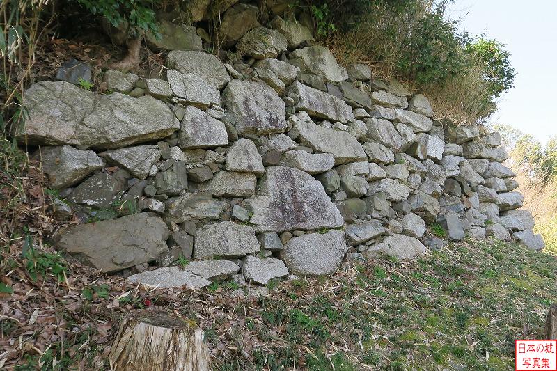 水口岡山城 本丸西側石垣（下段） 通路の先端から石垣を見る