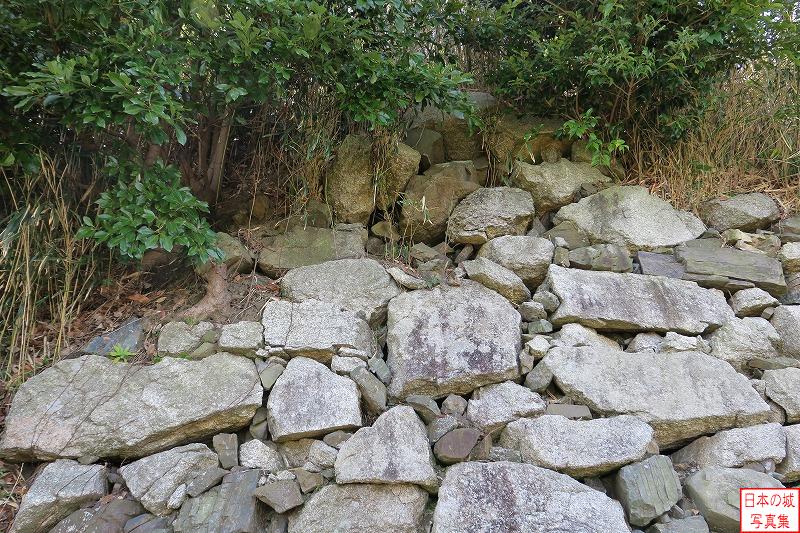 水口岡山城 本丸西側石垣（下段） 高いところも木々に隠れているが石垣が積まれている