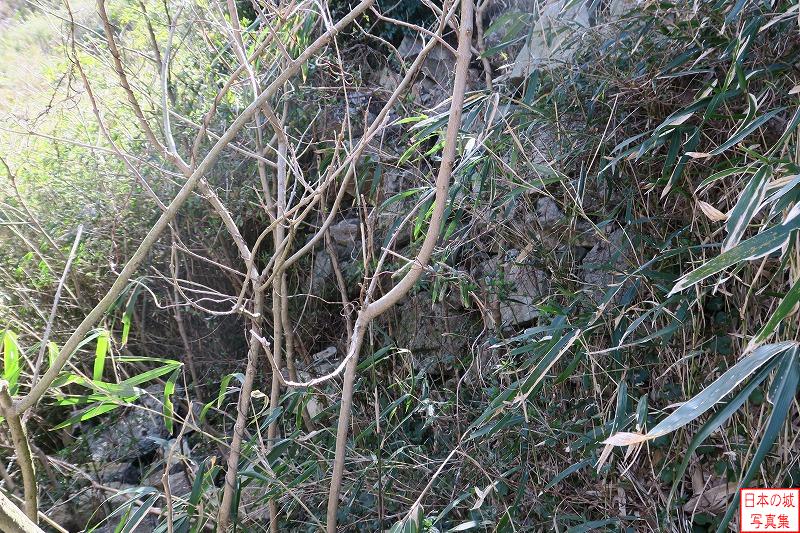 水口岡山城 本丸西側石垣（下段） 通路先にも石垣が見えるが、草木に隠されてよく見えない。肉眼だともう少し分かりやすい