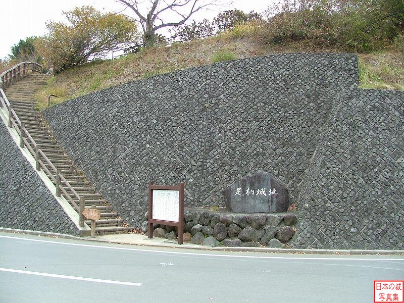 Ashigara Castle 
