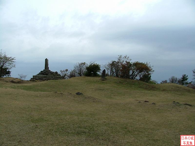 Ashigara Castle 