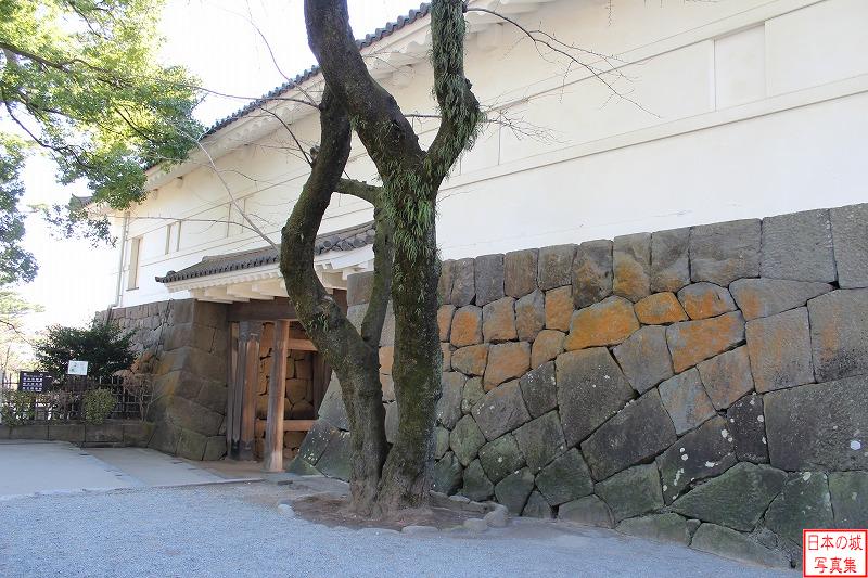 小田原城 常盤木門 常盤木門を城内から見る