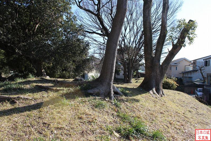 小田原城 早川口跡 残存する土塁。明治時代以降に地形が改変されたが、土塁が残存する。