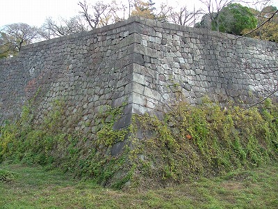 大坂城 本丸西面・北面 西の丸から見る本丸石垣