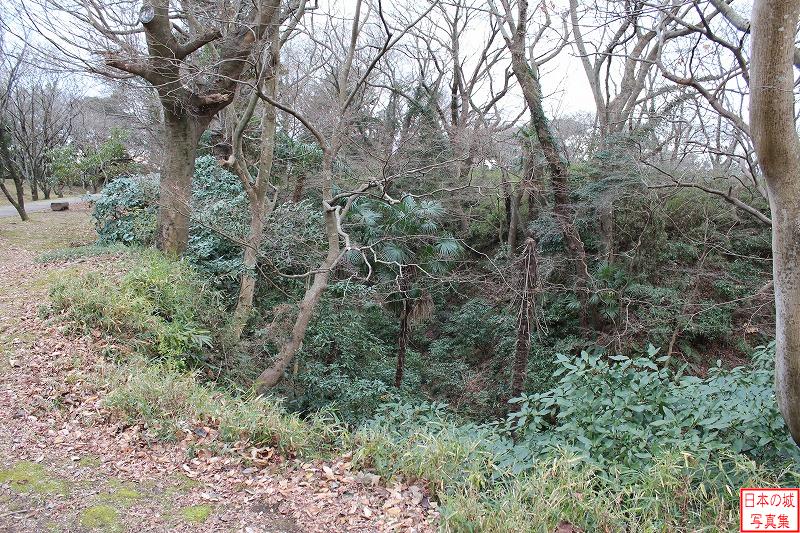佐倉城 二の丸 二の丸から見る空堀。やはり藪だらけである…