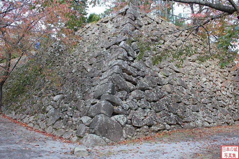 小諸城 帯曲輪 本丸石垣南西隅。算木積みが見られるが、大きさ・形が異なる自然石を隅石に使う初期の算木積みが見られる貴重なもの。算木積みの隅が丸まった形状になるのが特徴。切り出した石を用いると角ばった隅になる。