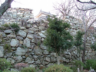 浜松城 本丸 本丸から天守曲輪の石垣を見る。まだ天守門が建てられる前の写真