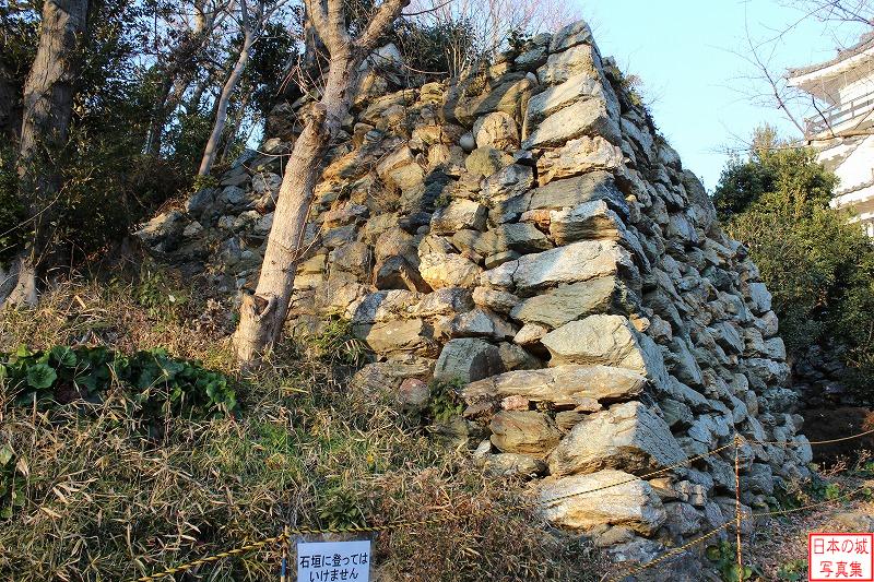 浜松城 八幡台・埋門 埋門左側の石垣